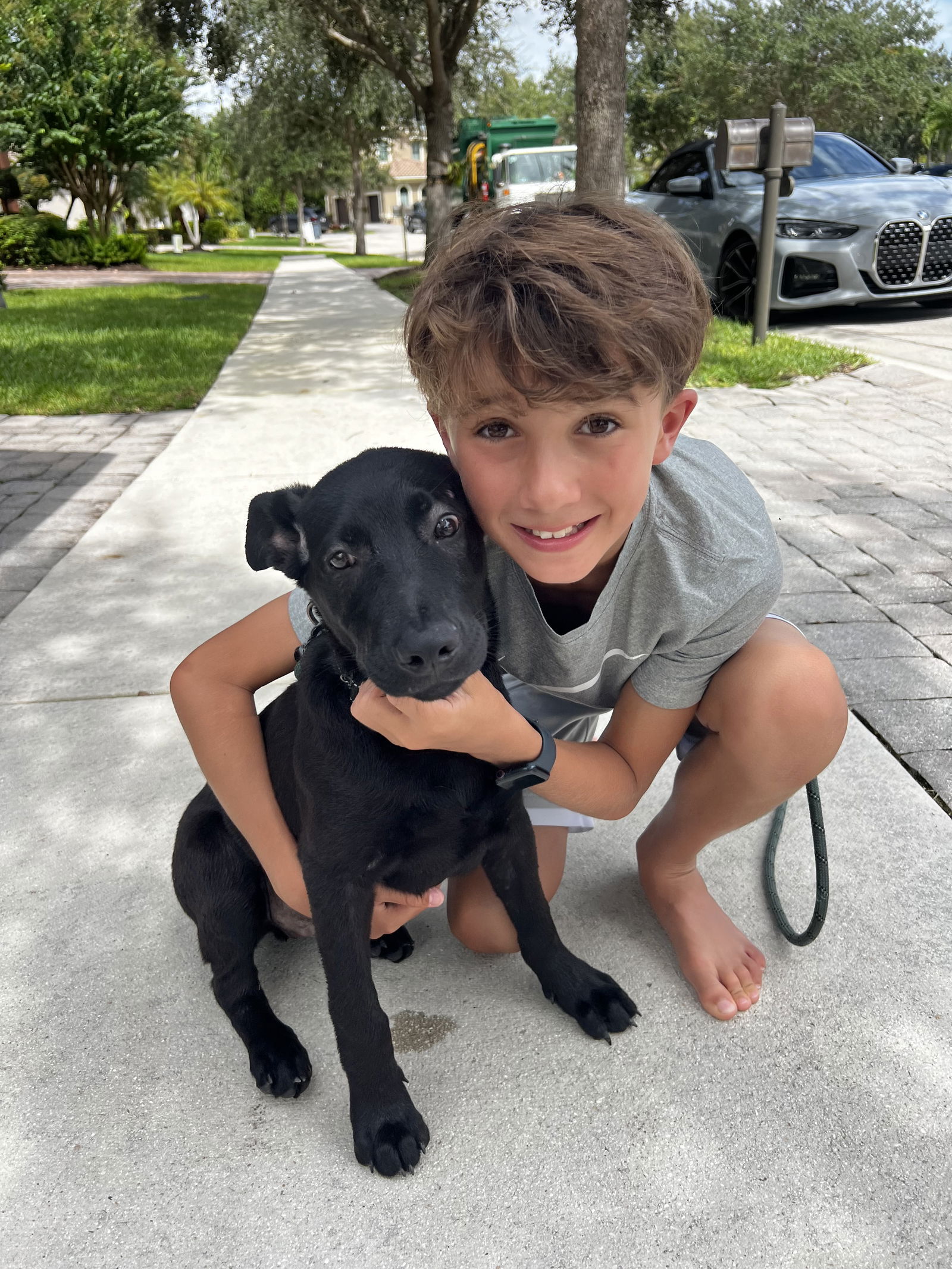 adoptable Dog in Pompano Beach, FL named Charlie