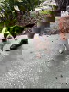 Elisa