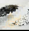 ONYX