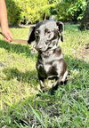 LUNNA