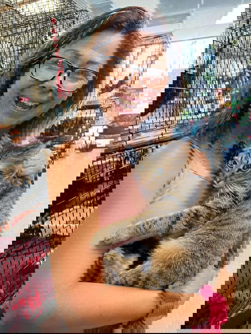 Dani