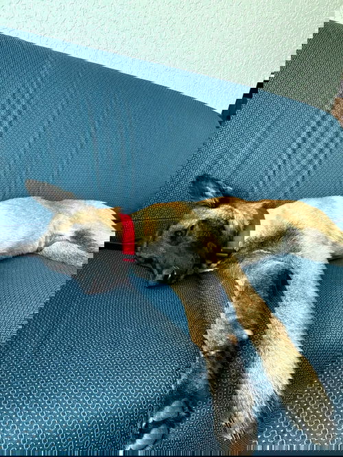 KEN