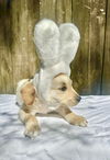 ZUMA