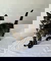 CAT GIRL