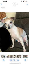 Skittles - Photo 2