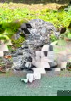 Crystal