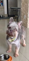 ZEKE