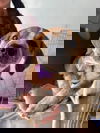 Pie