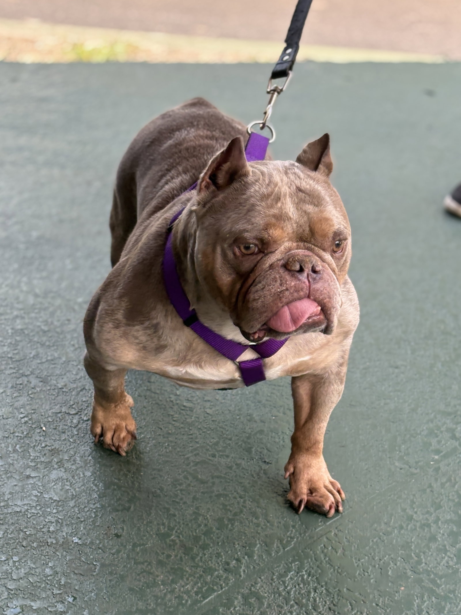 SHIMMER, photo 2