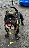 BUCKY - Photo 1