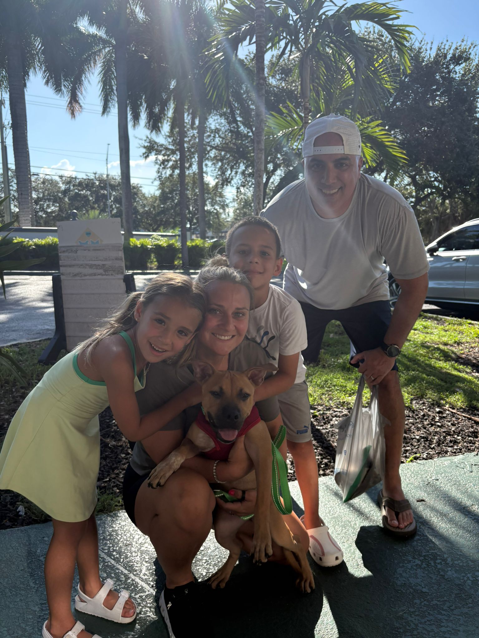 adoptable Dog in Pompano Beach, FL named Bianca