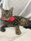 TWIX - Photo 3
