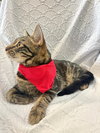 TWIX - Photo 4