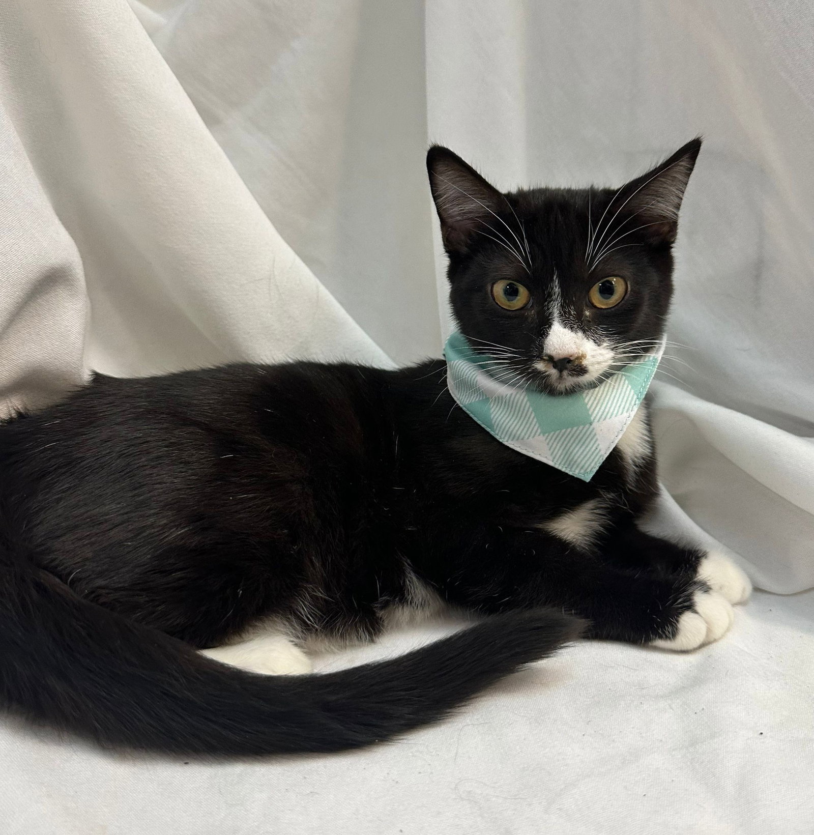 BINX Image