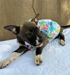 MARGARITA - Photo 3