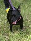 princess - Photo 2