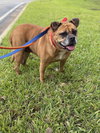 Zoe - Photo 3