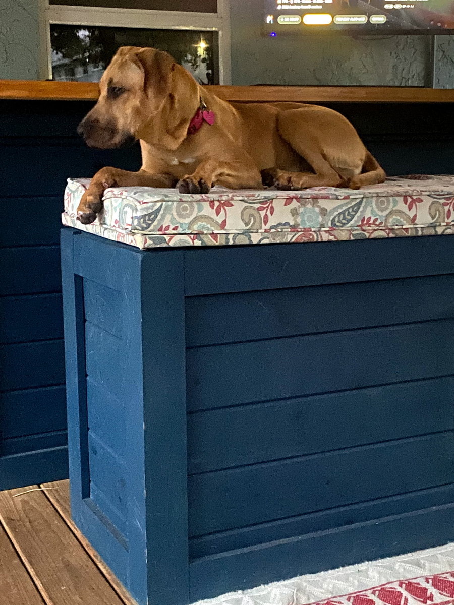 bella