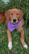 FRYDA - Photo 2