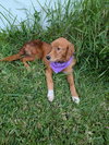 FRYDA - Photo 4