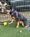 Ezra - Photo 2