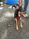 Emery - Photo 5