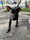HADES - Photo 5