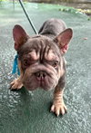 OSVALDO - Photo 1