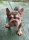 OSVALDO - Photo 3