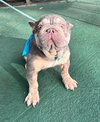 OSVALDO - Photo 4