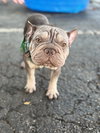 OTTO - Photo 1