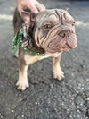 OTTO - Photo 2