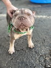 OTTO - Photo 3