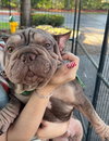 OTTO - Photo 4