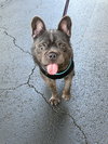 NOAH - Photo 3