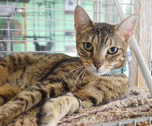 Photo 3 of CLEO