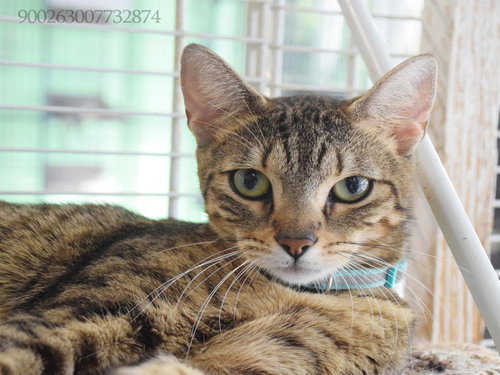 Photo 4 of CLEO