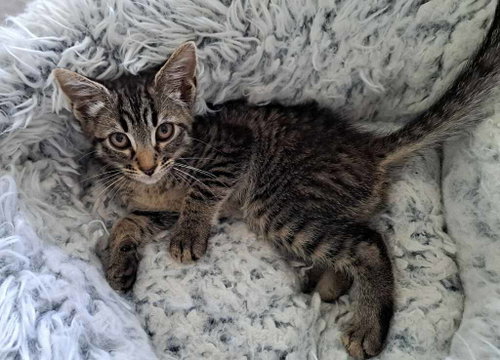 Photo 2 of KATU