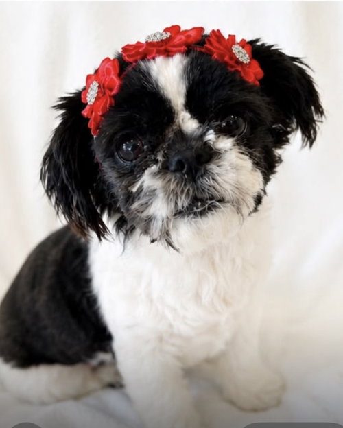 zoey