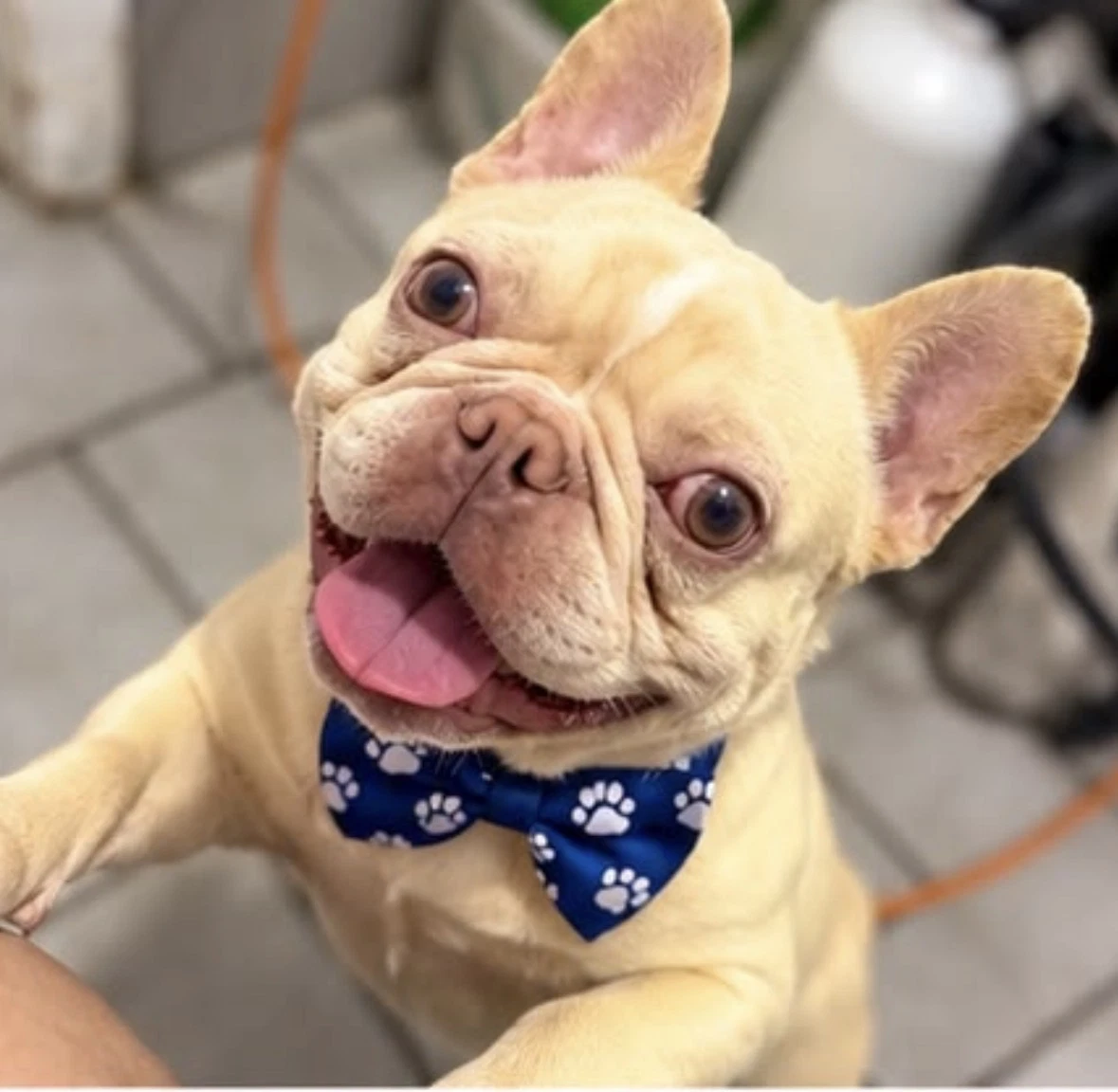 Bobby