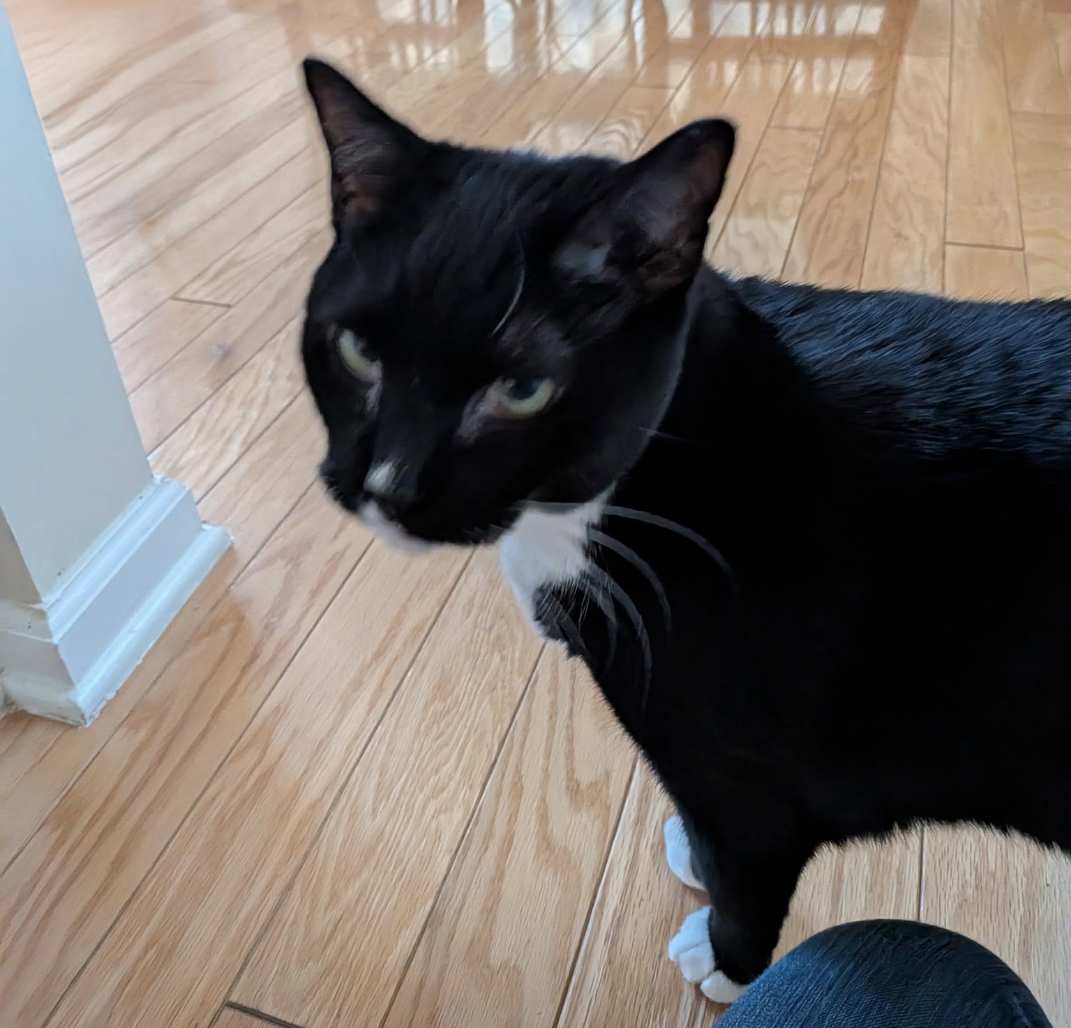 George Image