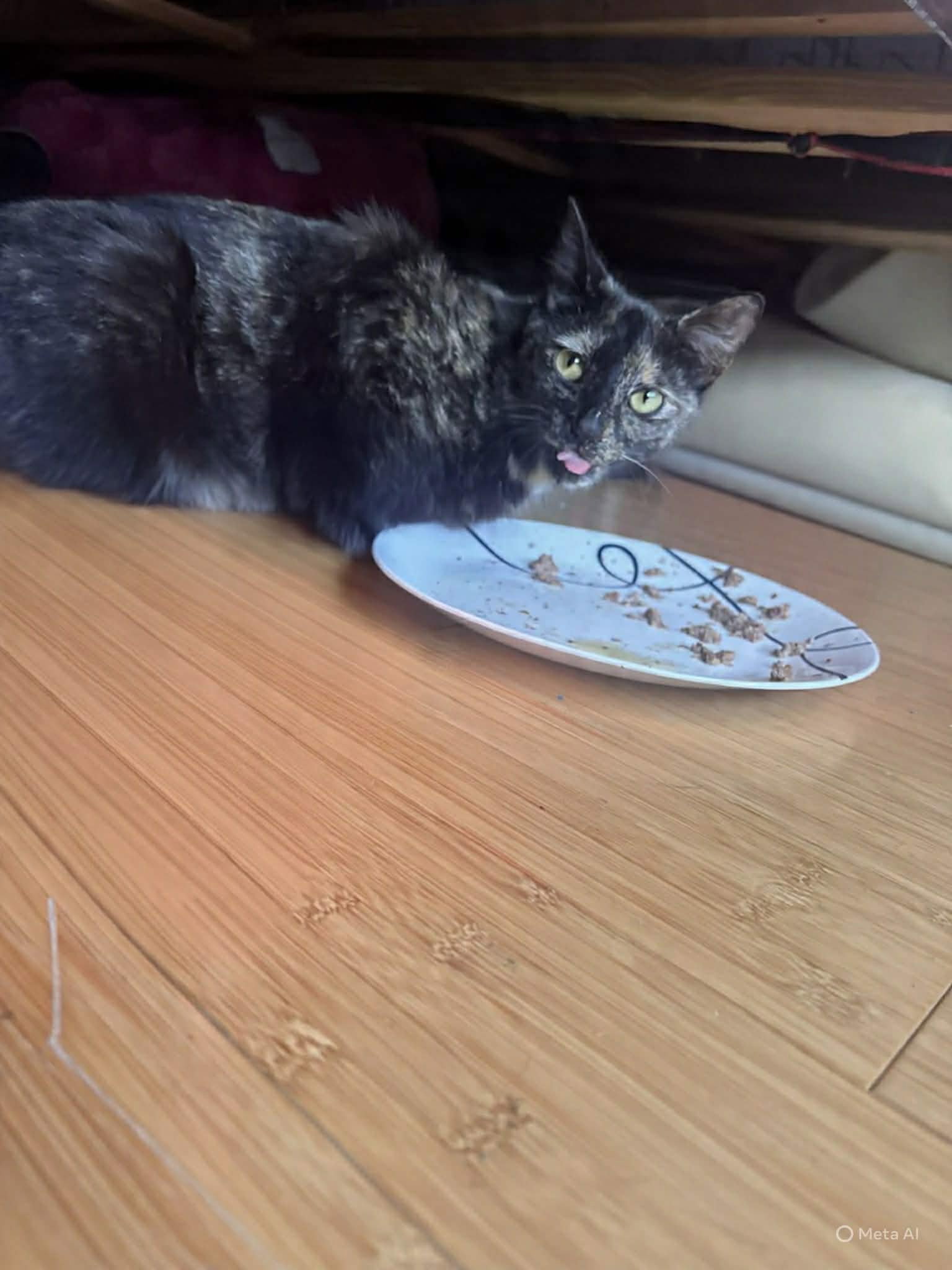 Melody, photo 3
