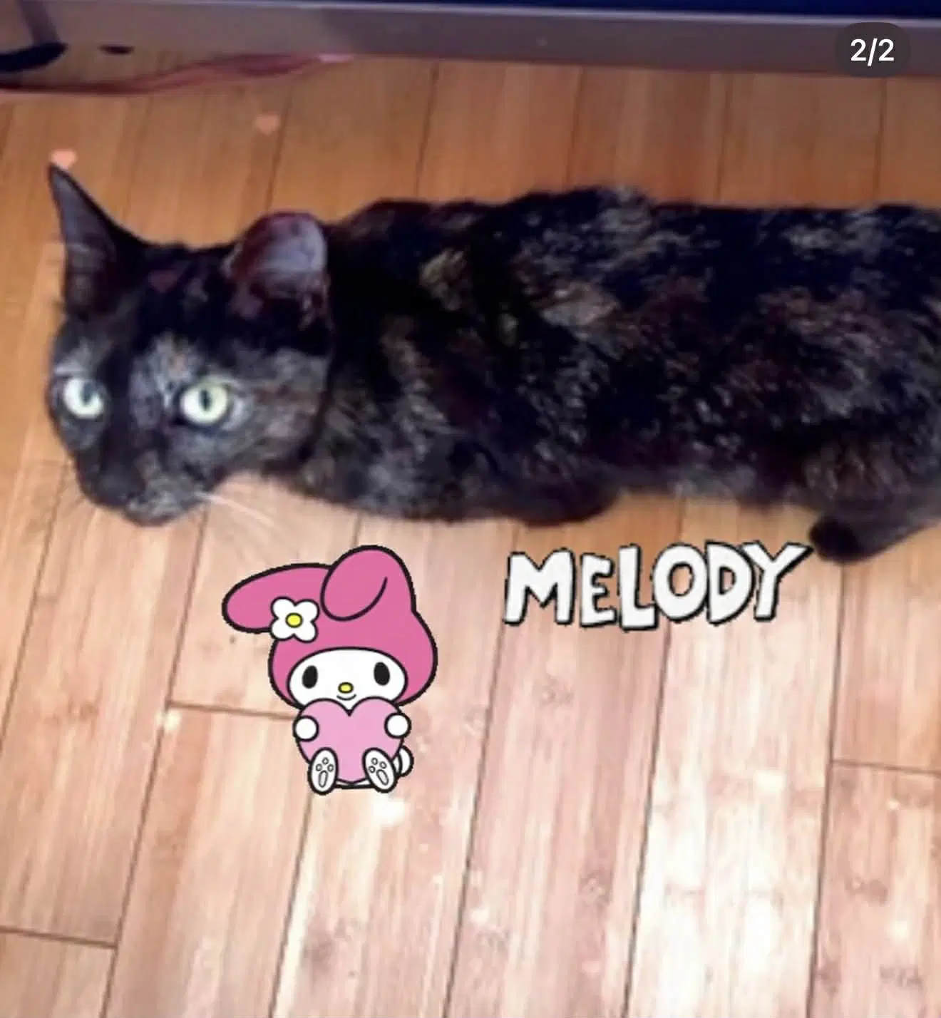 Melody image 4
