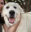 Rajah (Everest)