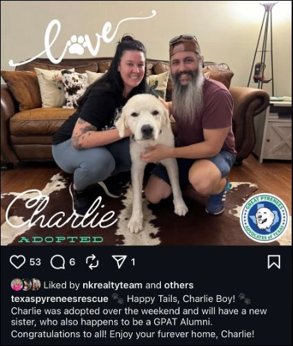 Charlie Boy