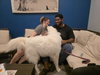 Brock (Rocky at adoption)