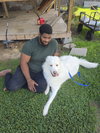 Brock (Rocky at adoption)