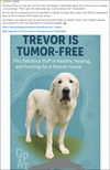 Trevor