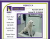 Riva (formerly Rebecca at shelter)