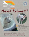 Palmer - under 45 lbs!